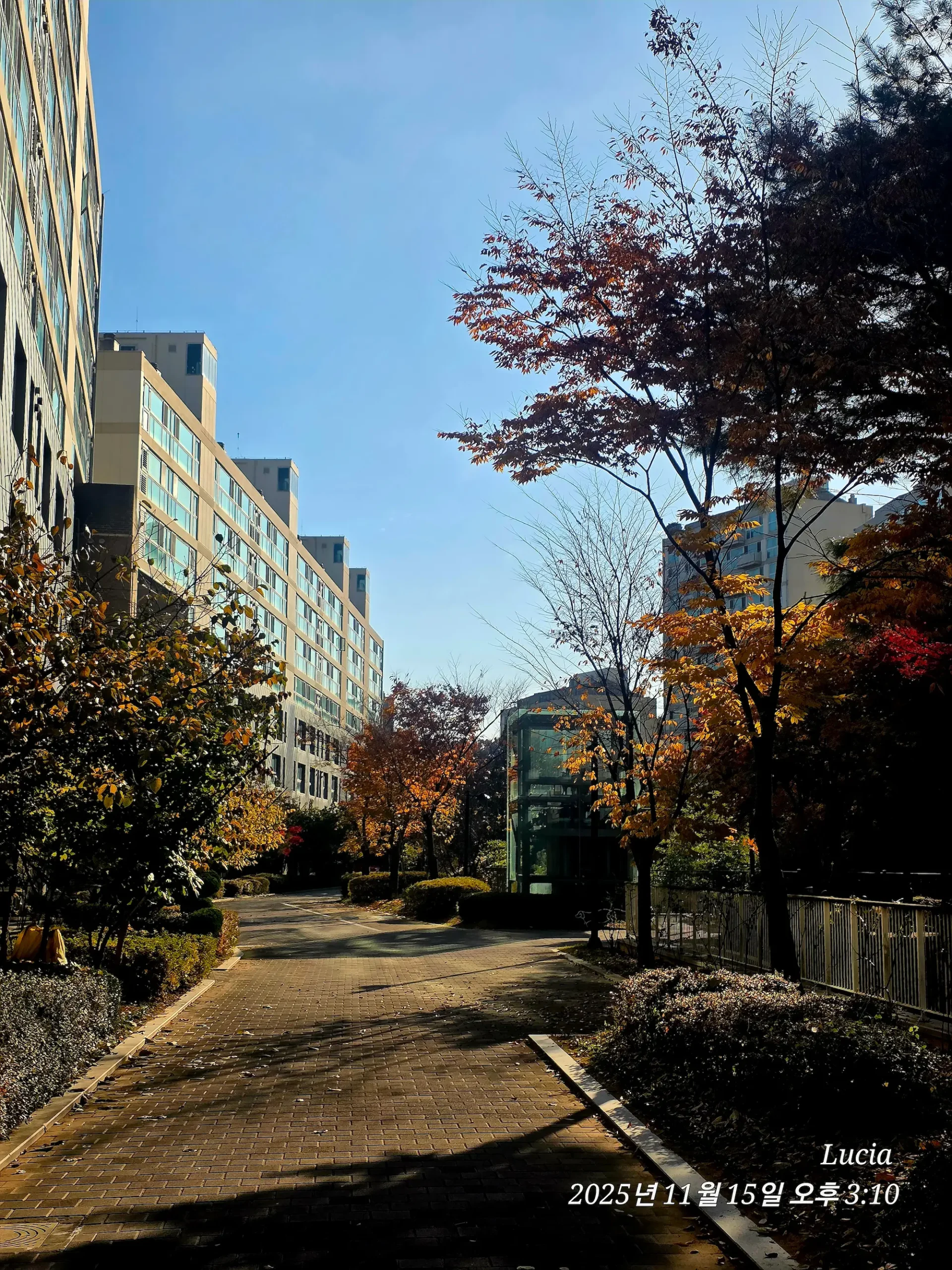 Korean Apartment in Sejong