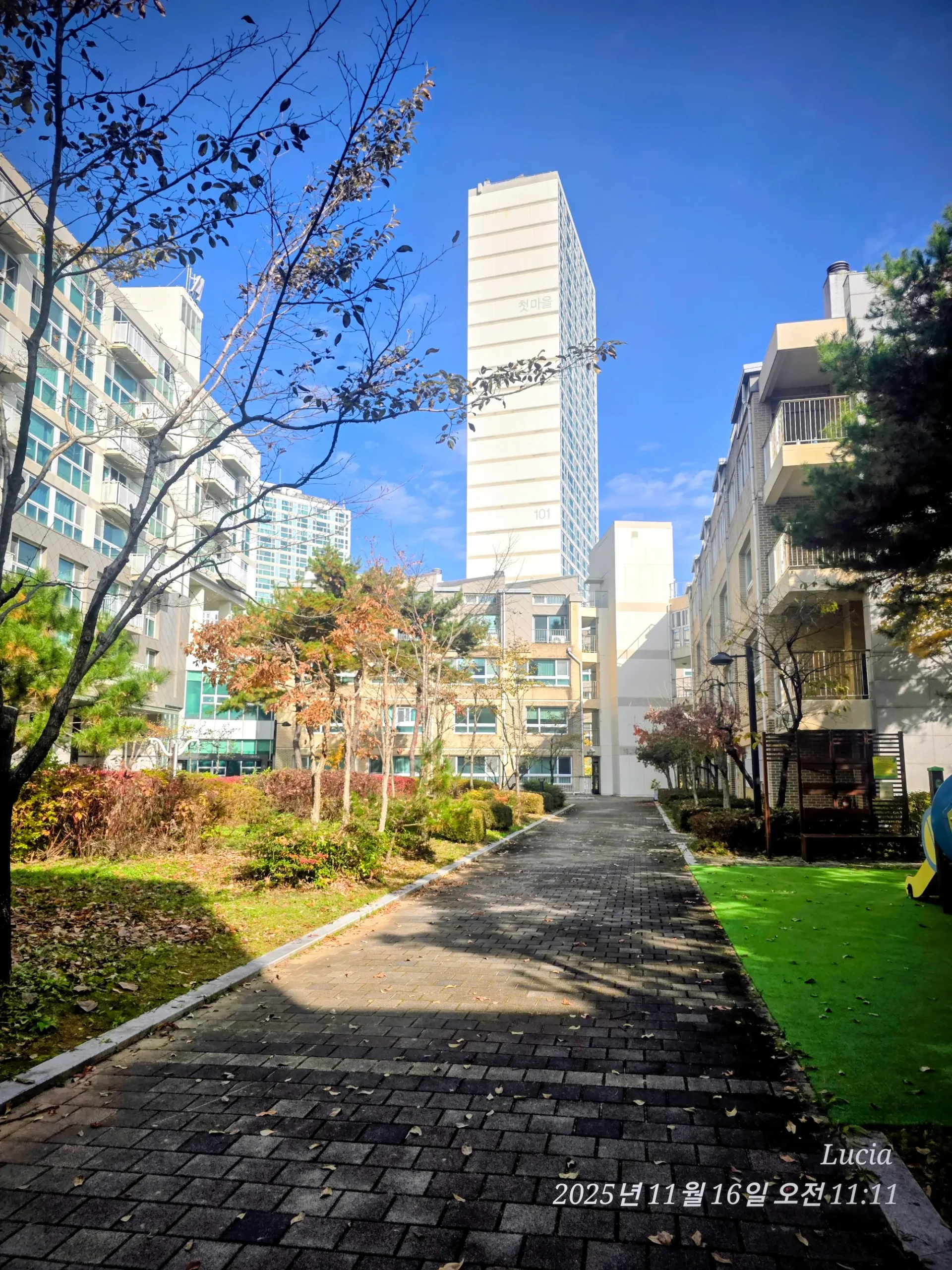 Korean Apartment in Sejong