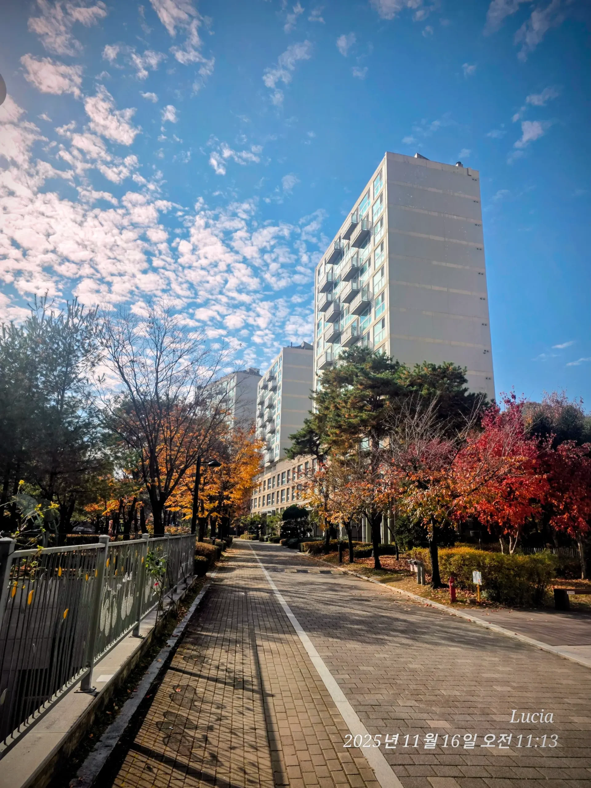 Korean Apartment in Sejong