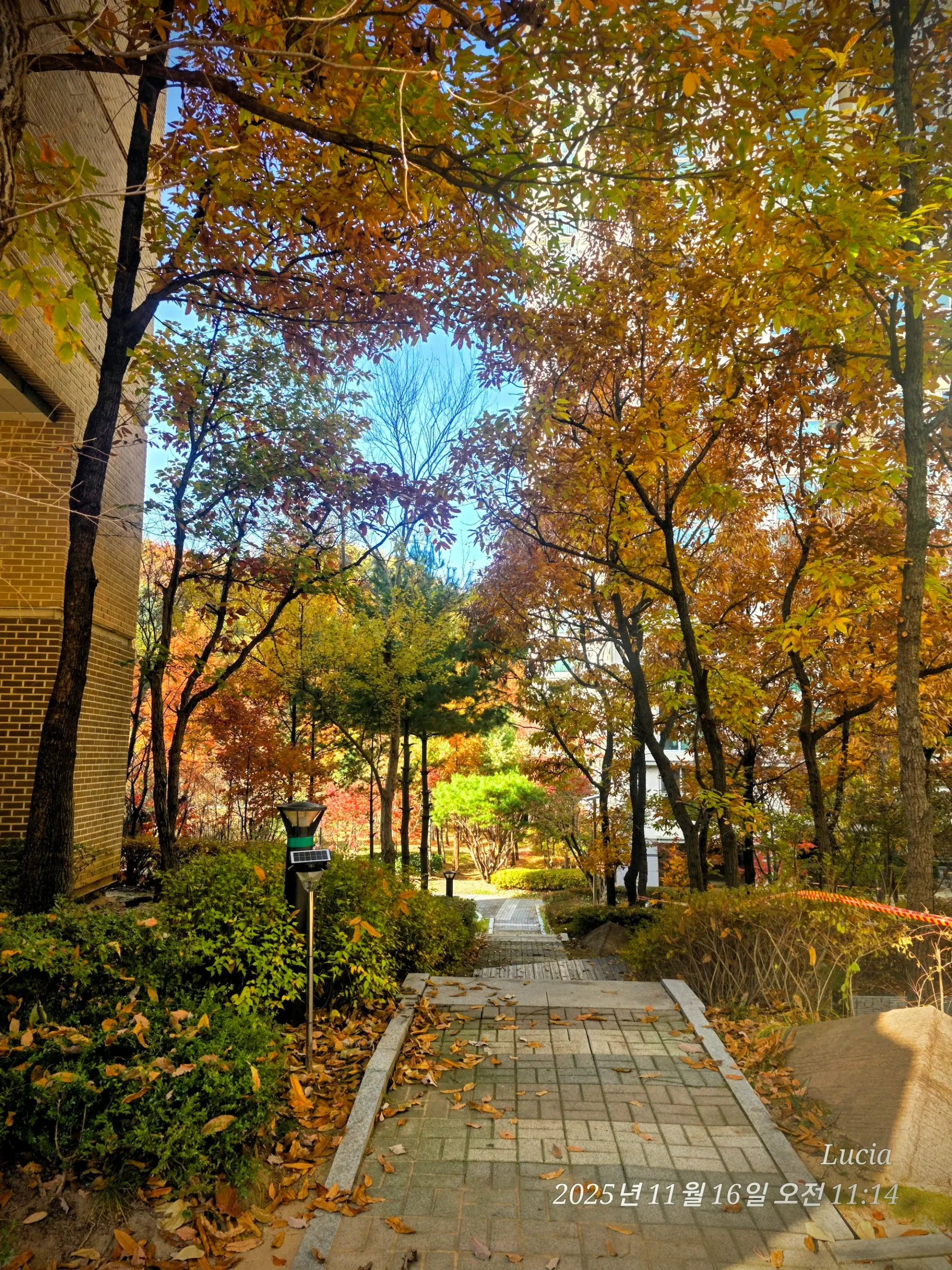 Korean Apartment in Sejong