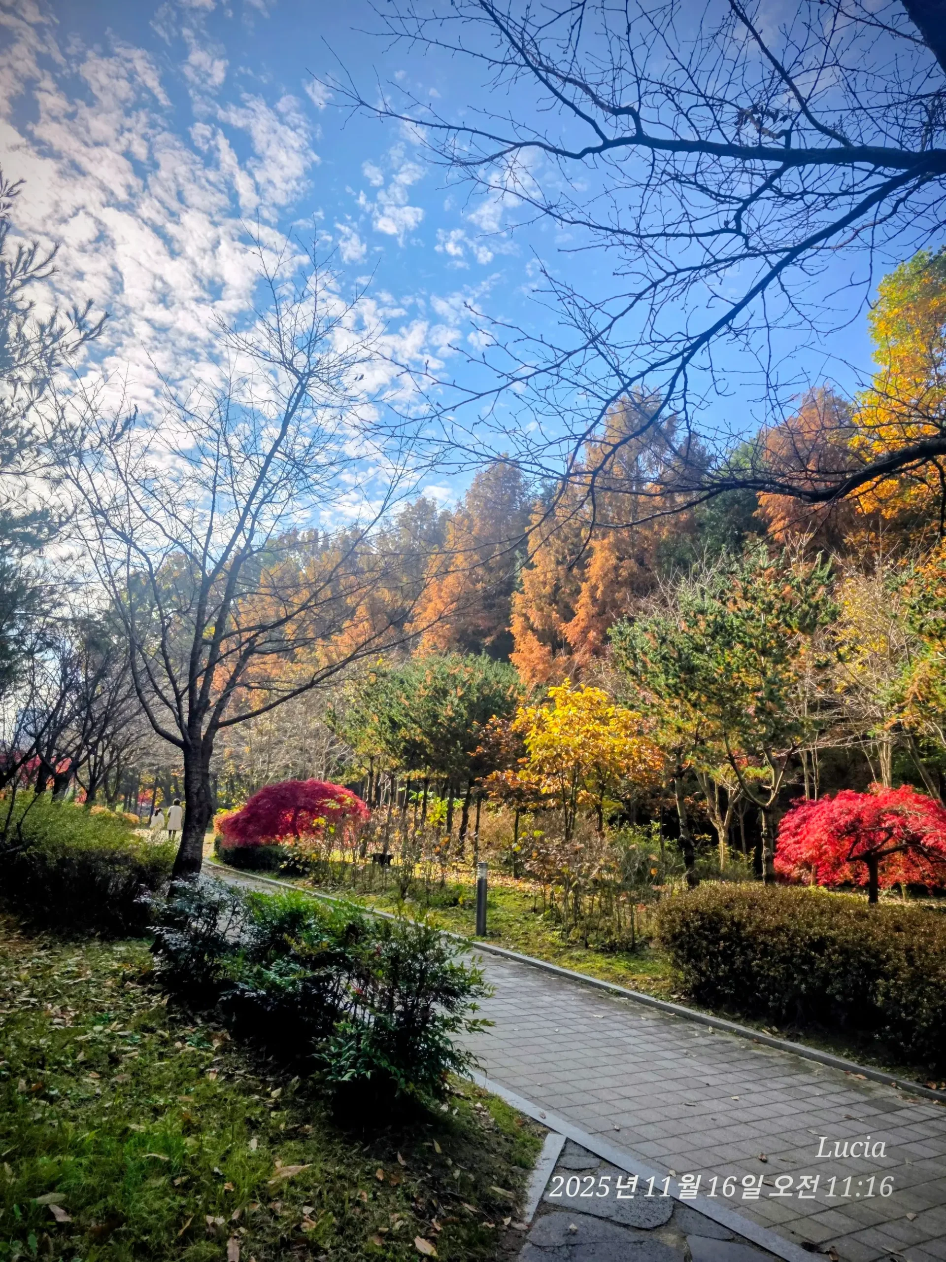 Korean Apartment in Sejong