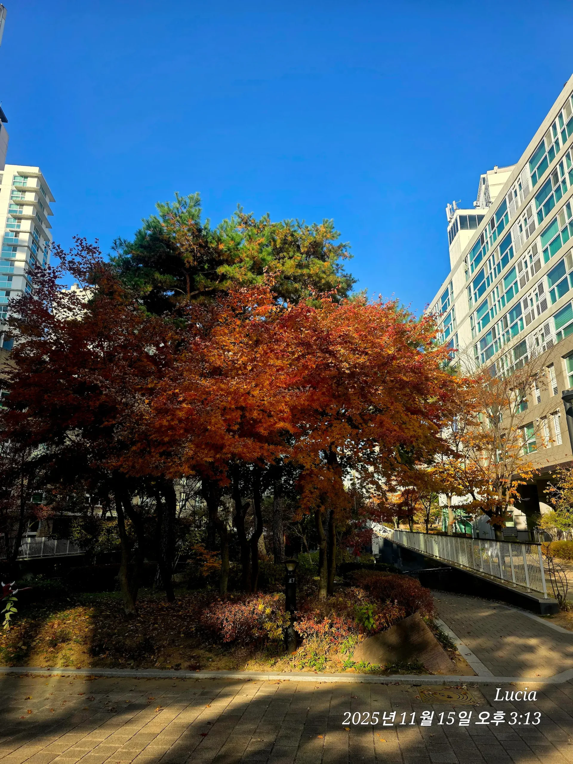 Korean Apartment in Sejong