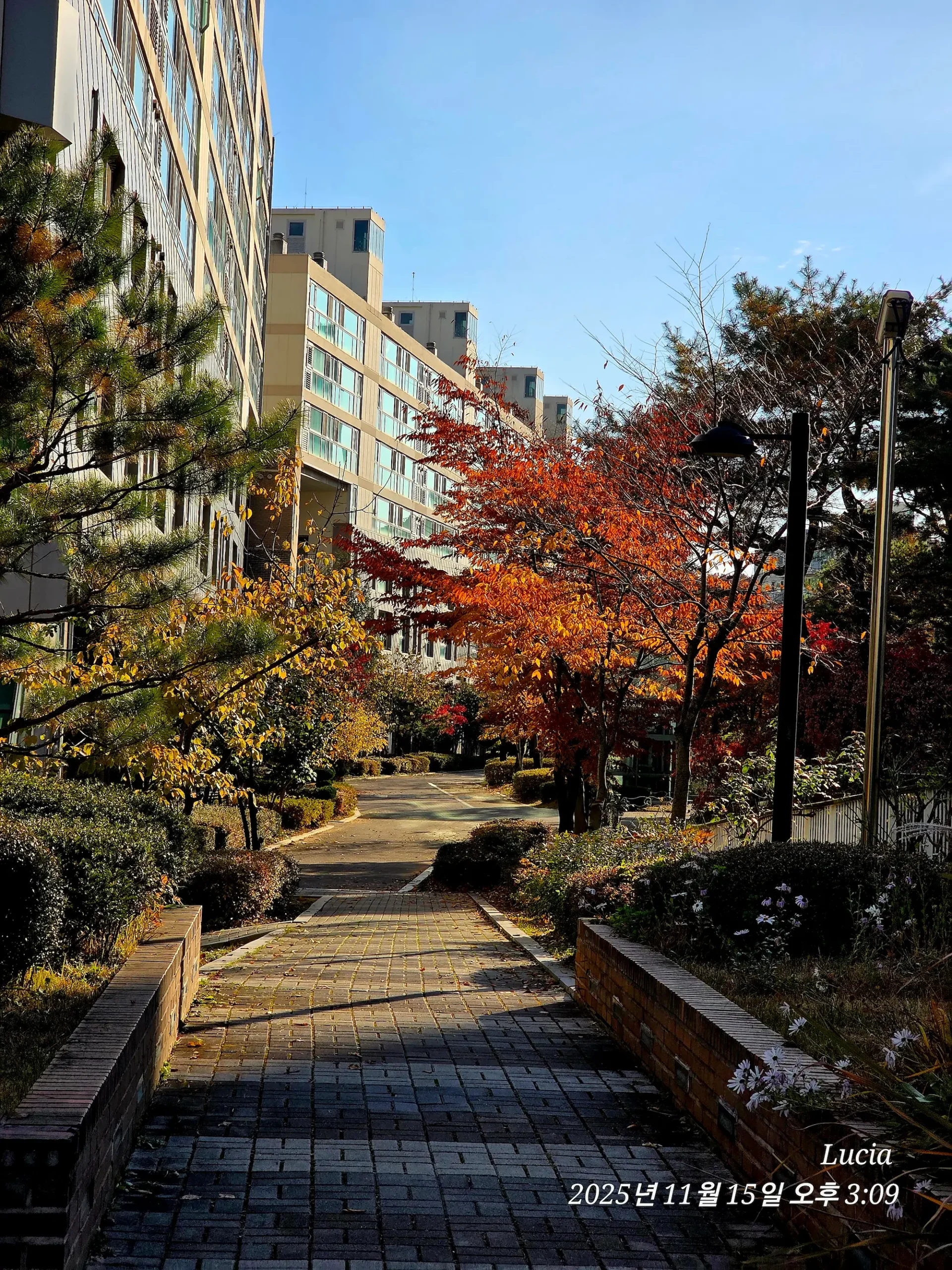 Korean Apartment in Sejong