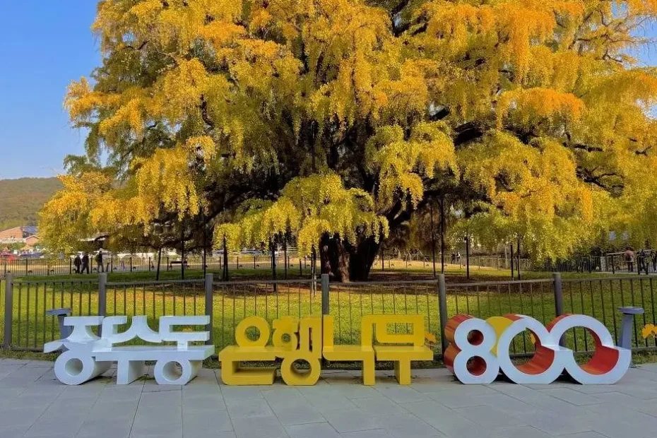 Hidden Autumn Spots in Incheon