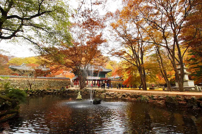 Naejangsan Autumn Foliage