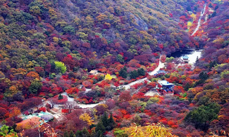 Naejangsan Autumn Foliage
