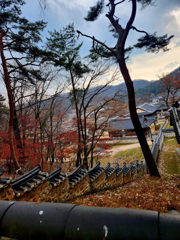 Namhansanseong Autumn Guide