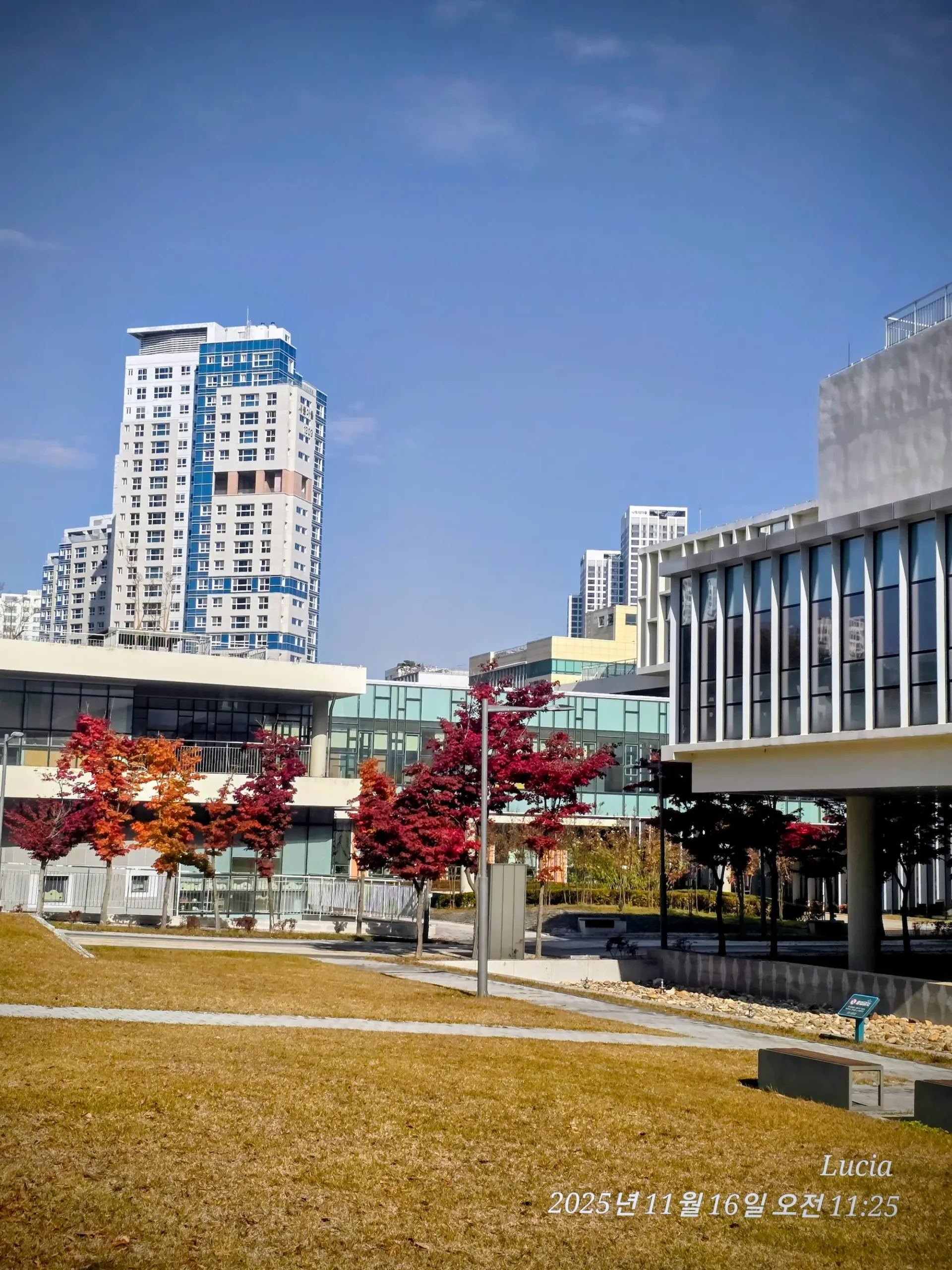 Korean Apartment Life