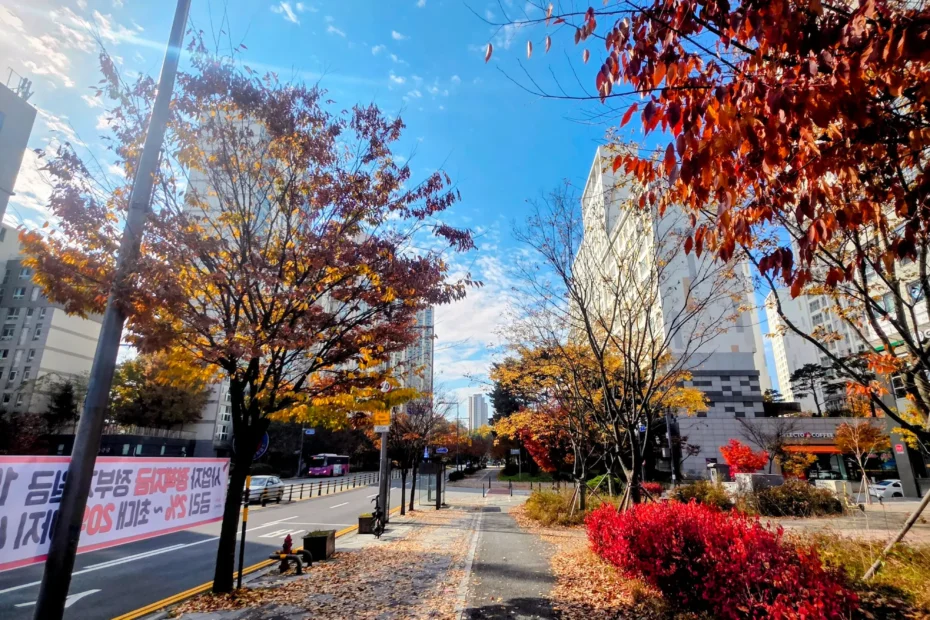 Korean Apartment Life