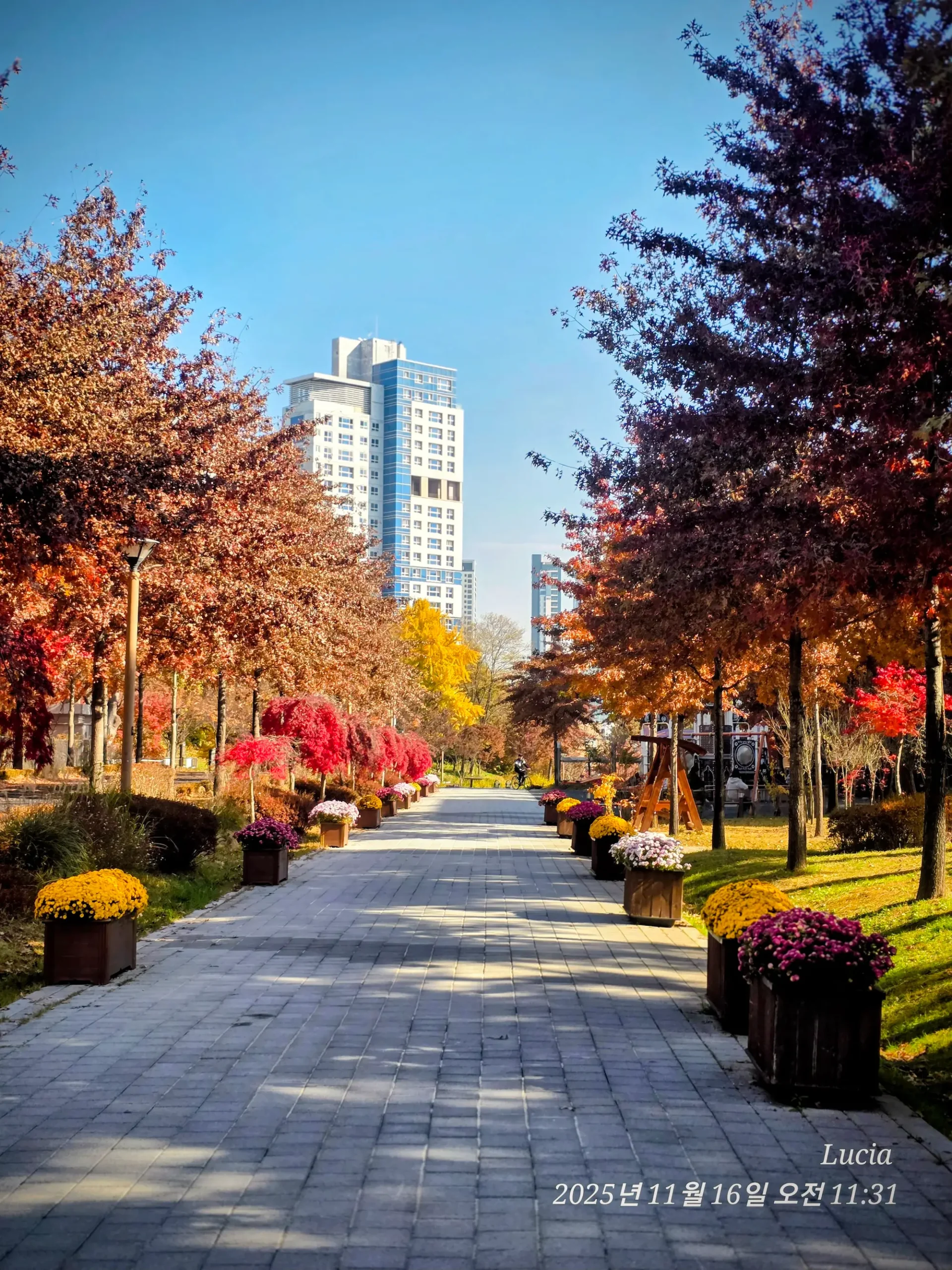 Korean Apartment Life
