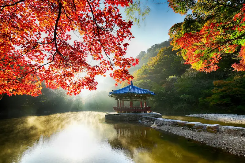 Naejangsan Autumn Foliage