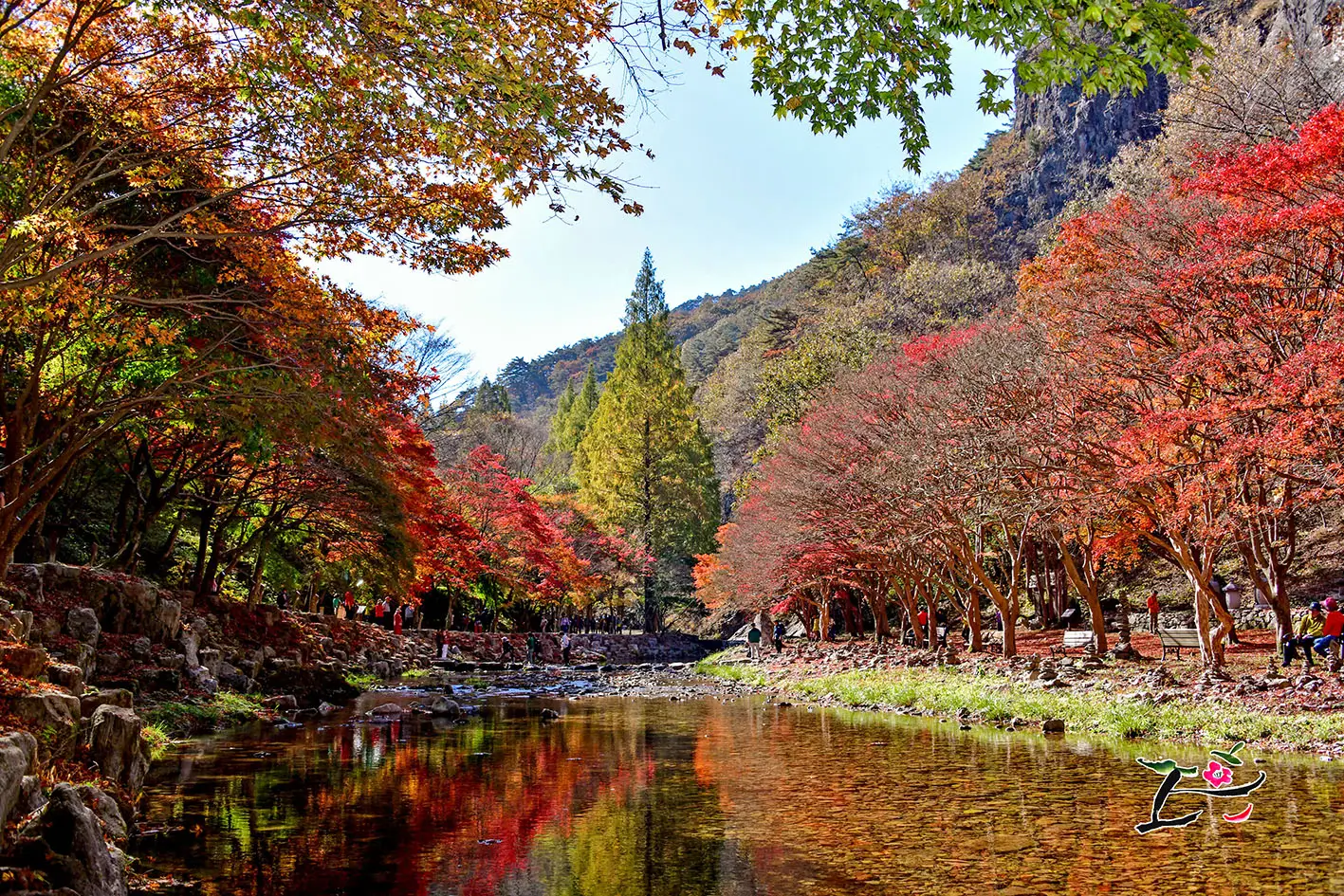 Unforgettable Sunchang Tteokbokki Festival 2025 — Experience Korea’s Fiery K-Food Culture in Jeollabuk-do