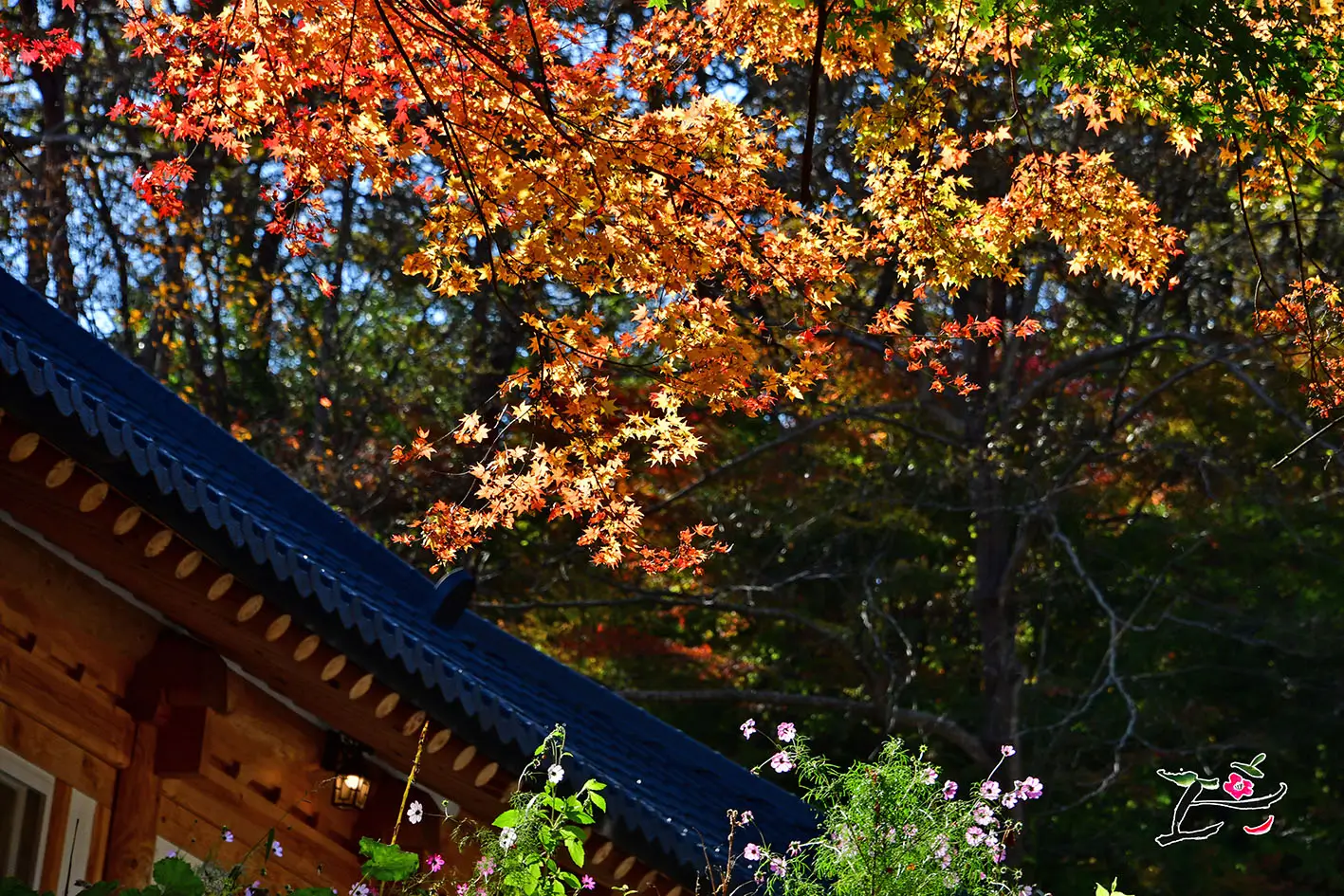 tteokbokki Festival 2025