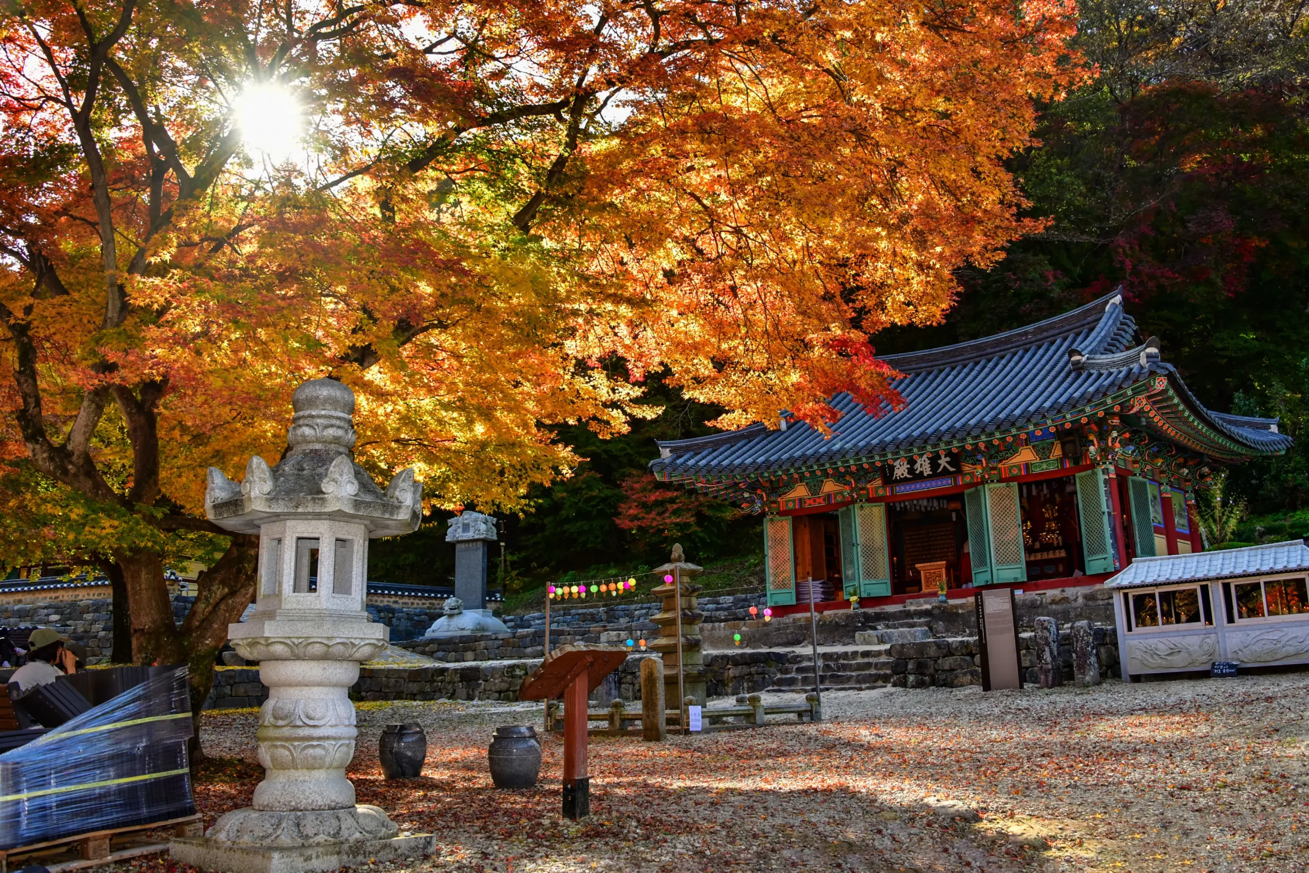 tteokbokki Festival 2025