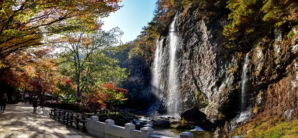 tteokbokki Festival 2025