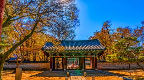 ✨ Ultimate Jeonju Travel Guide 3 — Discover Korea’s Most Historic, Beautiful & Inspiring Cultural Landmarks (2025)