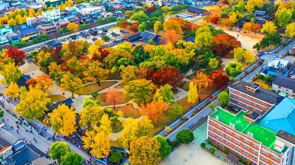 ✨ Ultimate Jeonju Travel Guide 3 — Discover Korea’s Most Historic, Beautiful & Inspiring Cultural Landmarks (2025)