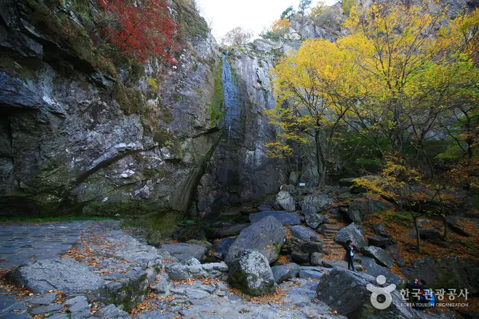 Autumn Festival in Korea