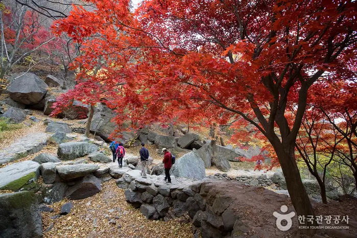 Autumn Festival in Korea