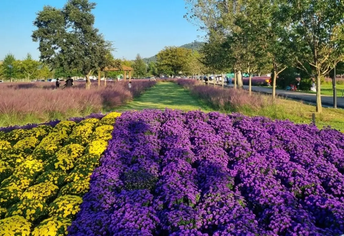 Autumn Festival in Korea