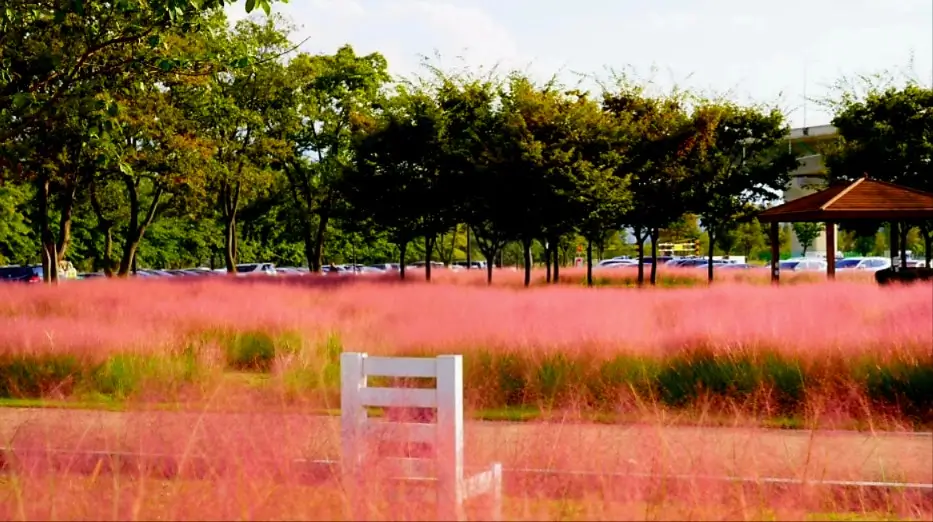 Autumn Festival in Korea