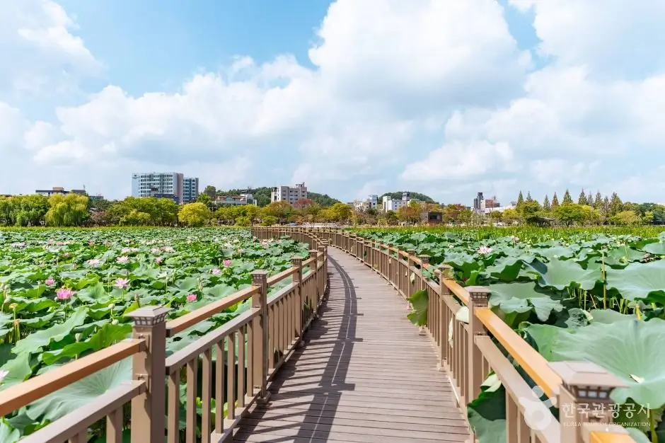 Tourist Attractions in Jeonju