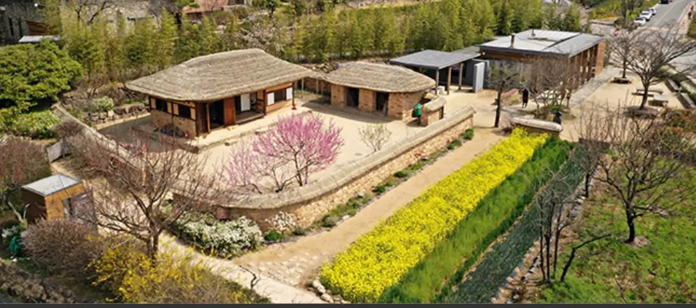 ✨ Ultimate Gimhae Travel Guide 2025 — Buncheong Ceramics Festival & Gaya Heritage Walk