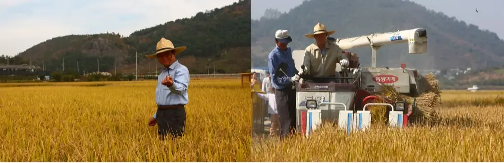 ✨ Ultimate Gimhae Travel Guide 2025 — Buncheong Ceramics Festival & Gaya Heritage Walk