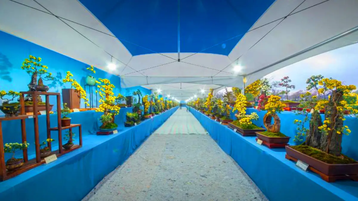 Ultimate Buyeo Travel Guide – Experience the Best of Baekje’s History, Scenic Landscapes, and K-Drama Spots