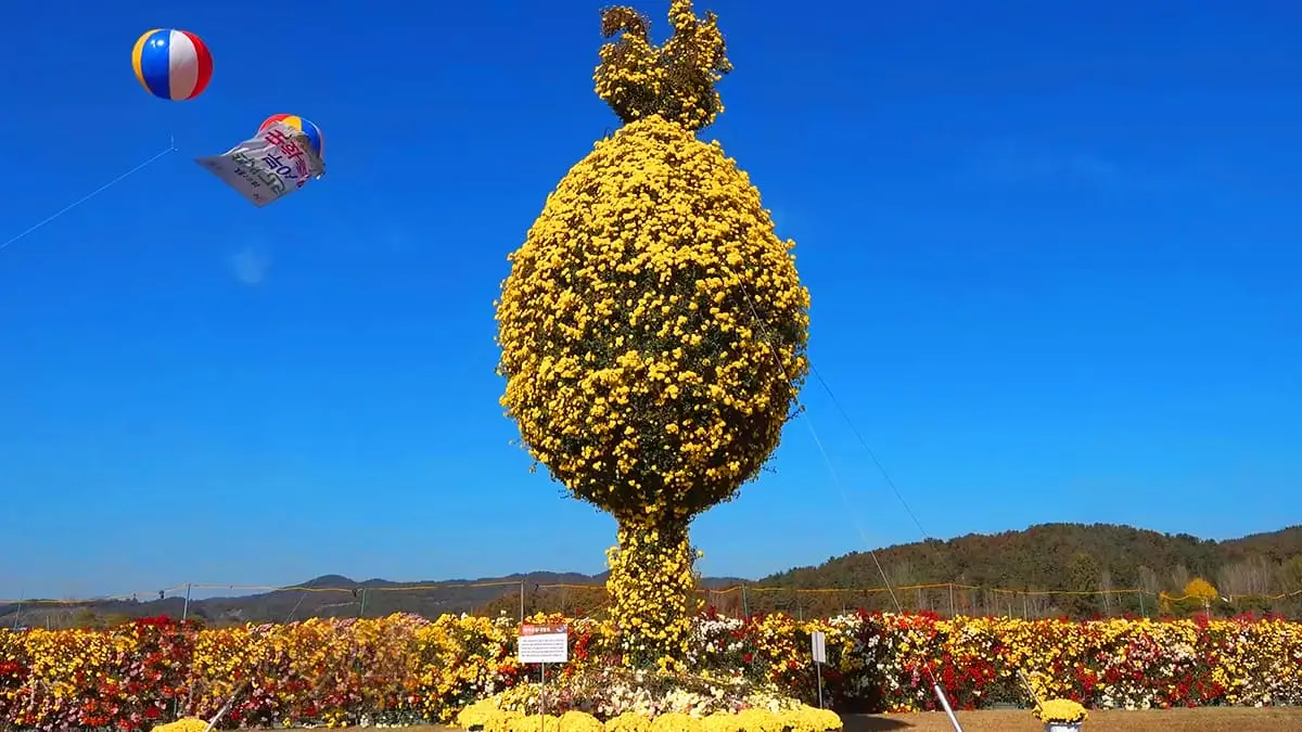 Ultimate Buyeo Travel Guide – Experience the Best of Baekje’s History, Scenic Landscapes, and K-Drama Spots