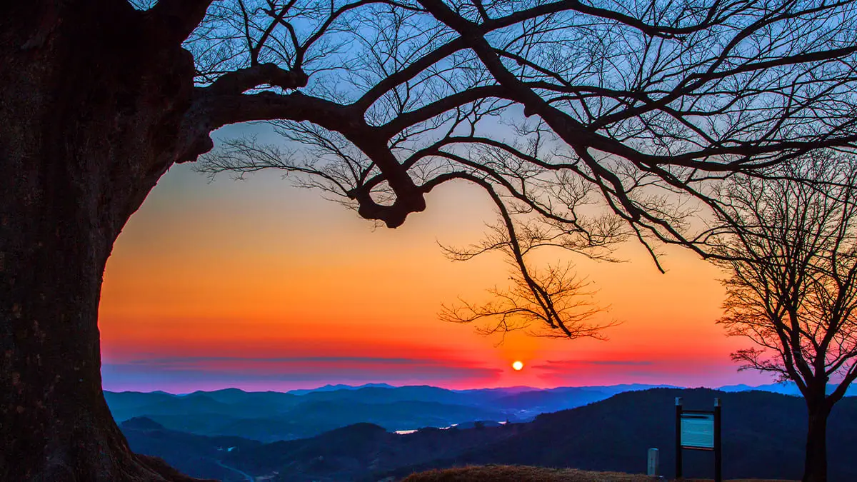 Ultimate Buyeo Travel Guide – Experience the Best of Baekje’s History, Scenic Landscapes, and K-Drama Spots