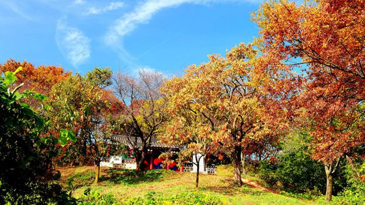 Ultimate Buyeo Travel Guide – Experience the Best of Baekje’s History, Scenic Landscapes, and K-Drama Spots