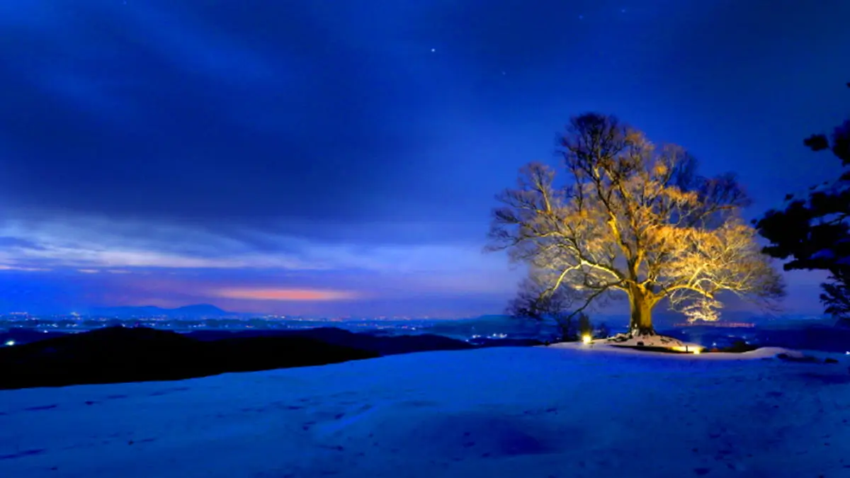 Ultimate Buyeo Travel Guide – Experience the Best of Baekje’s History, Scenic Landscapes, and K-Drama Spots