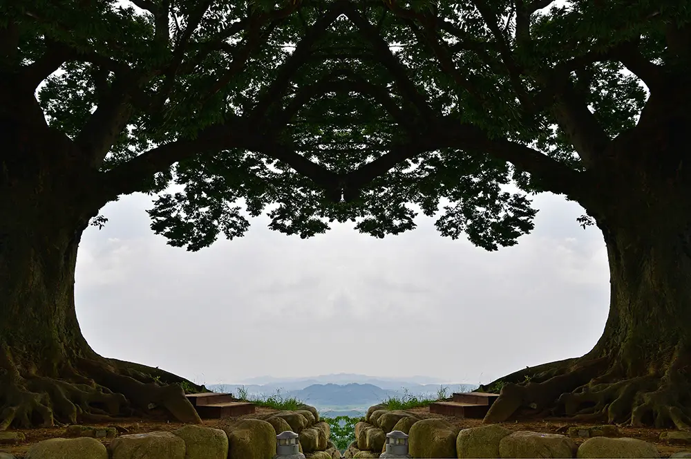 Ultimate Buyeo Travel Guide – Experience the Best of Baekje’s History, Scenic Landscapes, and K-Drama Spots