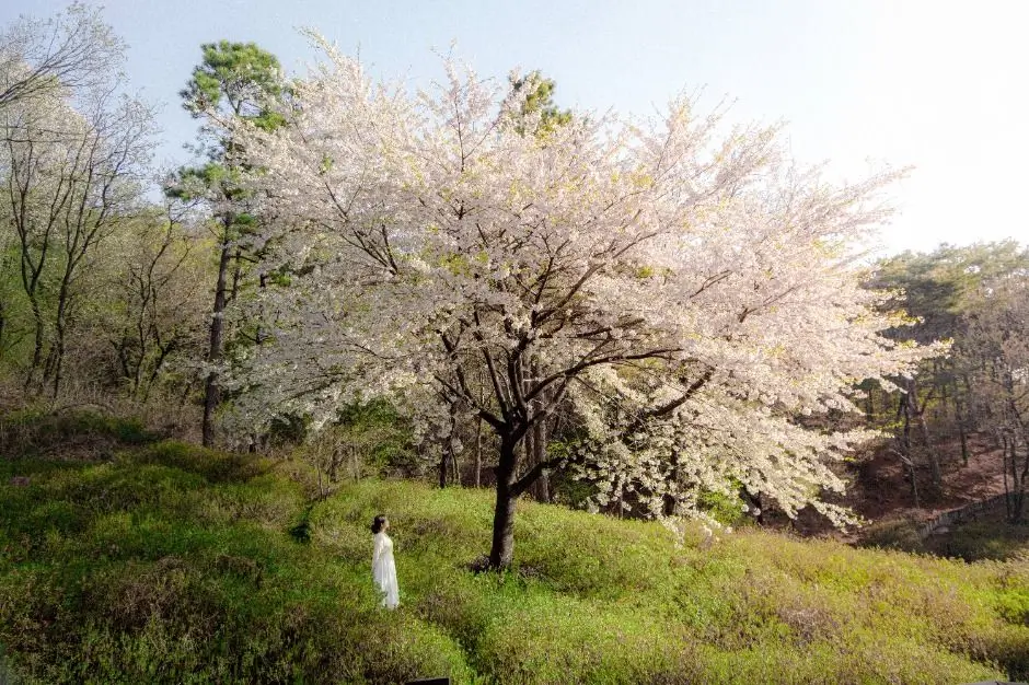 Incheon tourist attractions