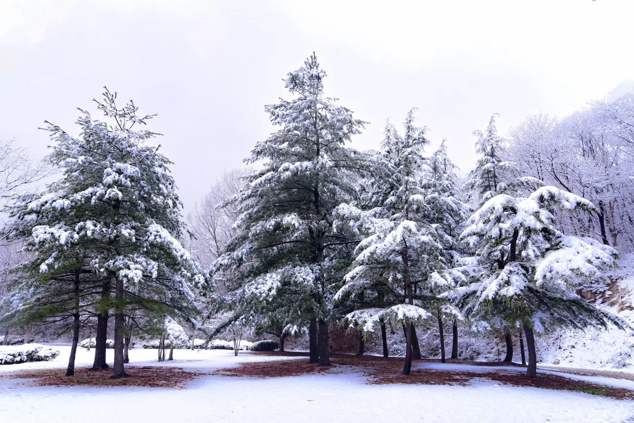 Incheon tourist attractions