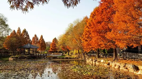 Hidden gems in Jeonju