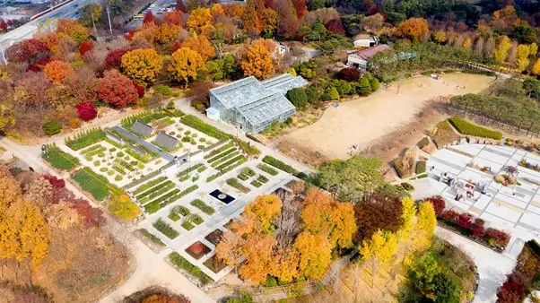 ✨ Ultimate Jeonju Travel Guide 3 — Discover Korea’s Most Historic, Beautiful & Inspiring Cultural Landmarks (2025)