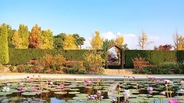 Hidden gems in Jeonju