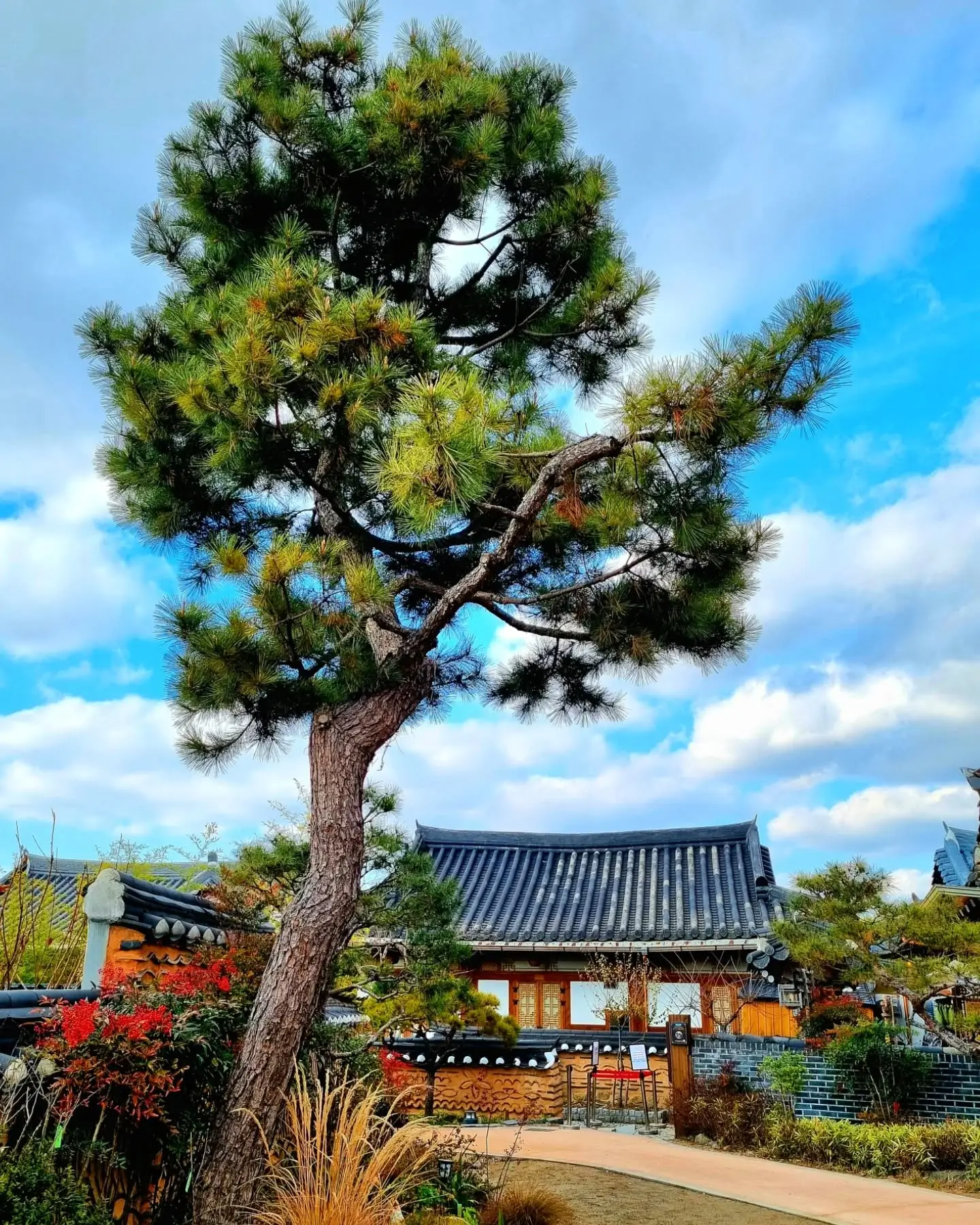 5 Best Ways to Fully Enjoy Jeonju Hanok Village: The Complete Jeonju Travel Guide 2