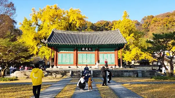 ✨ Ultimate Jeonju Travel Guide 3 — Discover Korea’s Most Historic, Beautiful & Inspiring Cultural Landmarks (2025)