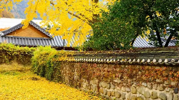 ✨ Ultimate Jeonju Travel Guide 3 — Discover Korea’s Most Historic, Beautiful & Inspiring Cultural Landmarks (2025)