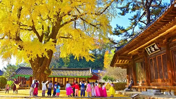 ✨ Ultimate Jeonju Travel Guide 3 — Discover Korea’s Most Historic, Beautiful & Inspiring Cultural Landmarks (2025)