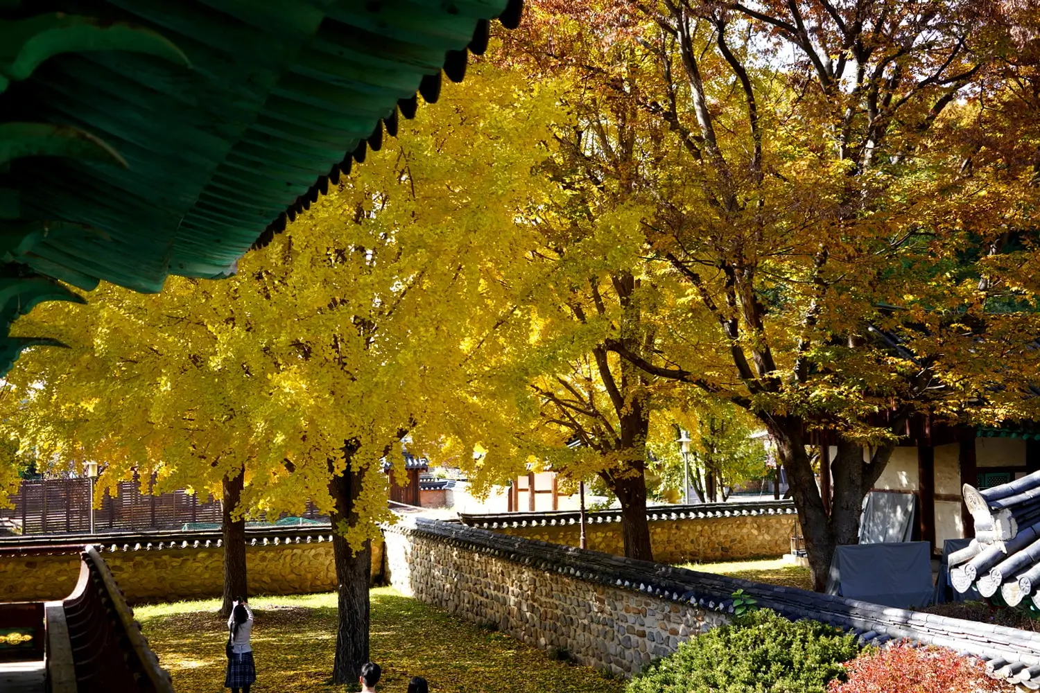 Hidden Gems in Jeonju