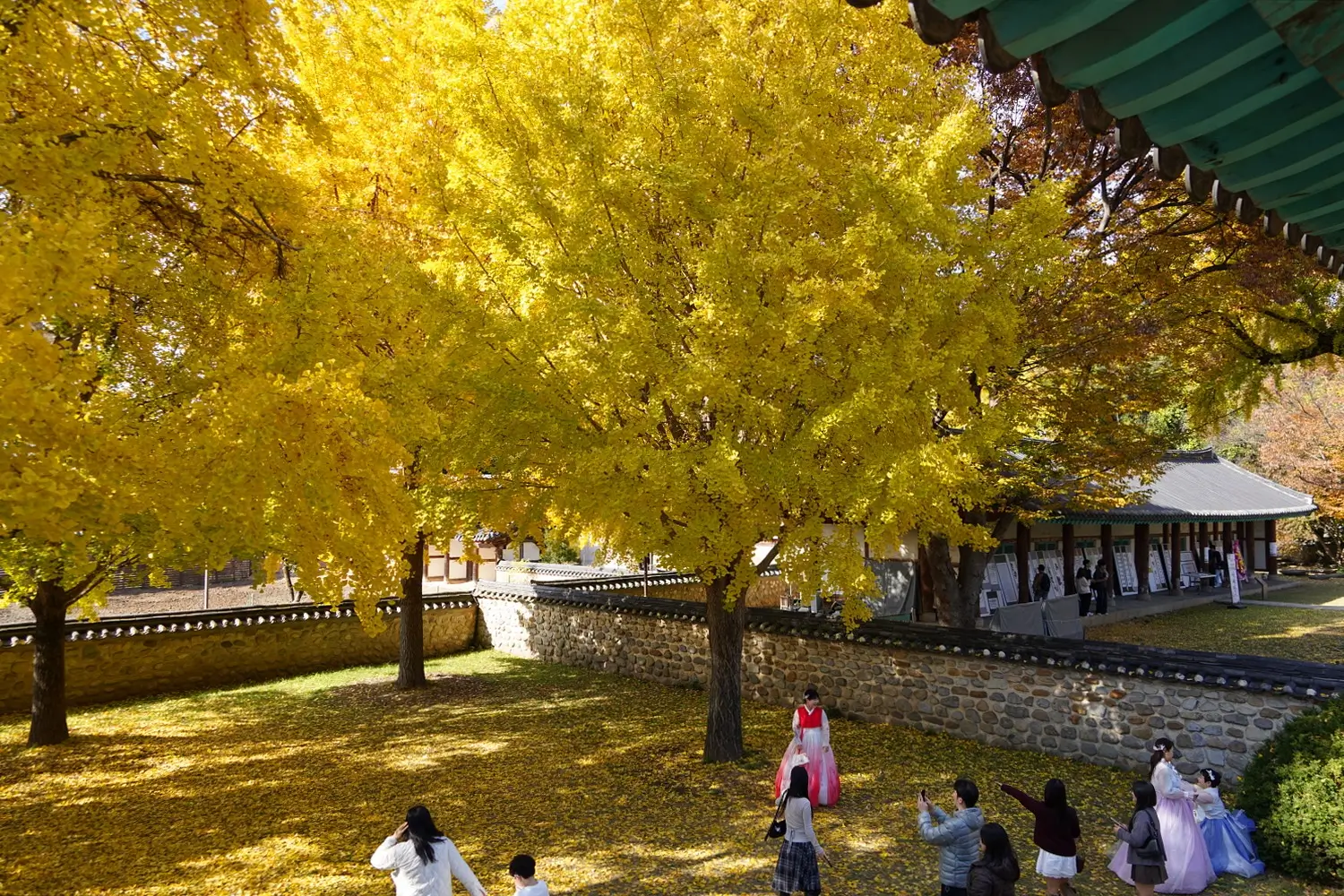 ✨ Ultimate Jeonju Travel Guide 3 — Discover Korea’s Most Historic, Beautiful & Inspiring Cultural Landmarks (2025)