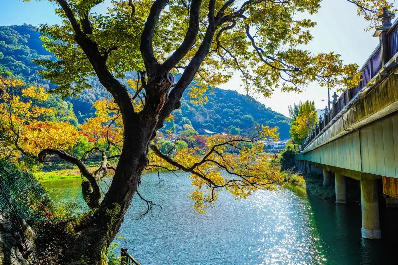 ✨ Ultimate Jeonju Travel Guide 3 — Discover Korea’s Most Historic, Beautiful & Inspiring Cultural Landmarks (2025)