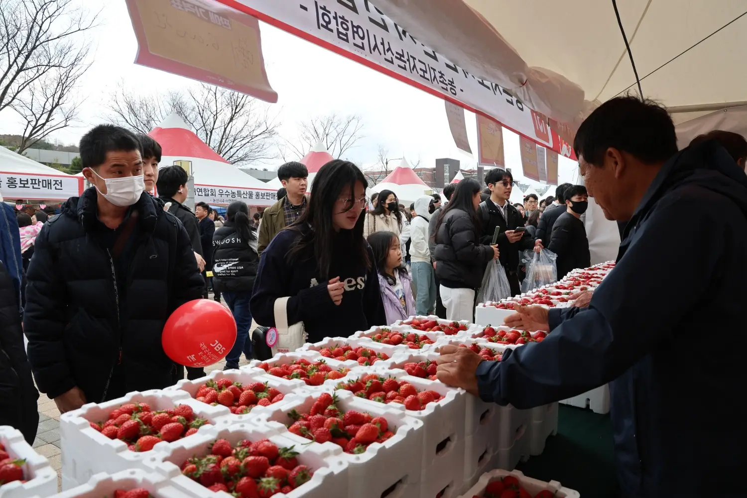 Nonsan Strawberry Festival 2025