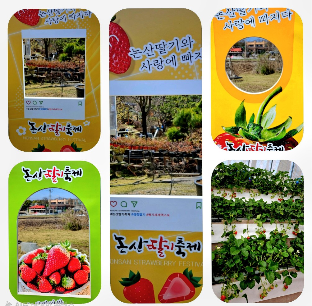 Nonsan Strawberry Festival 2026 photo zone with strawberry basket