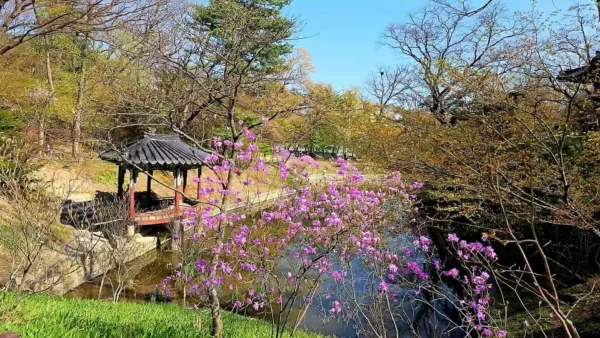 Changdeokgung Palace - Gwallamjeong