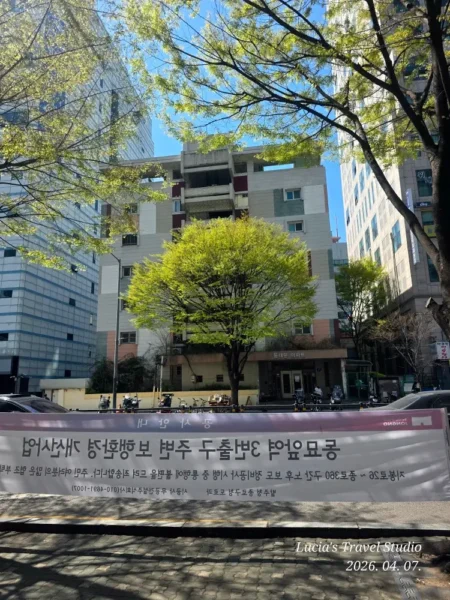 Dongdaemun Apartment Seoul 1965